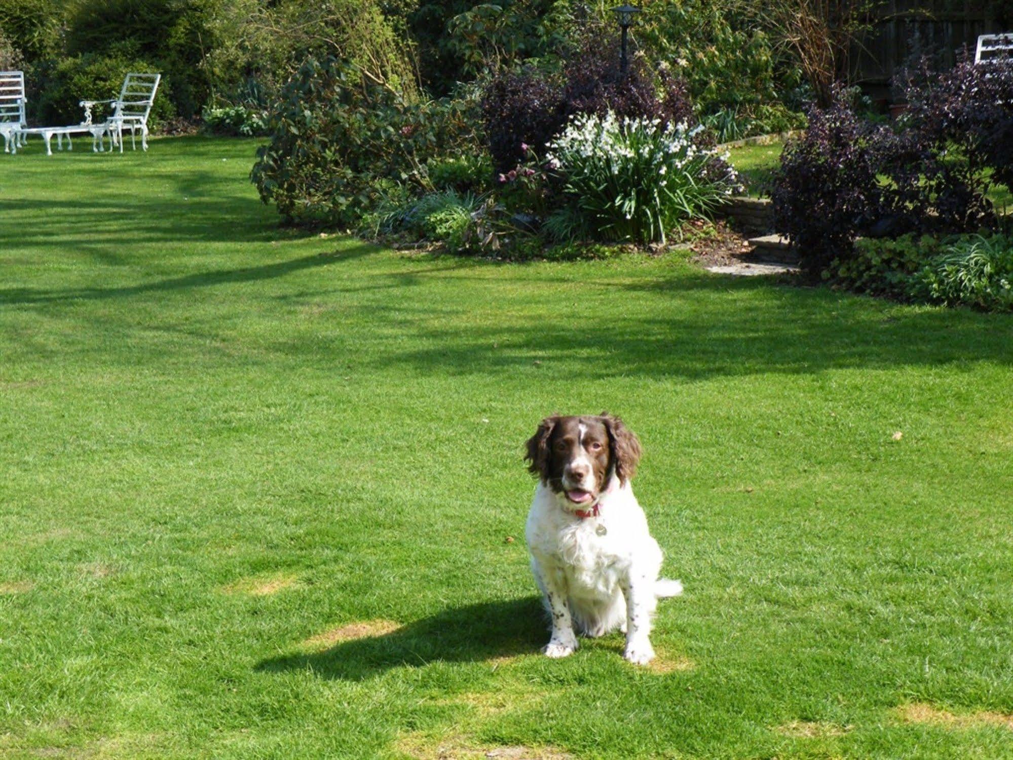 Broadlands Gate Bed and Breakfast Brockenhurst Exteriör bild