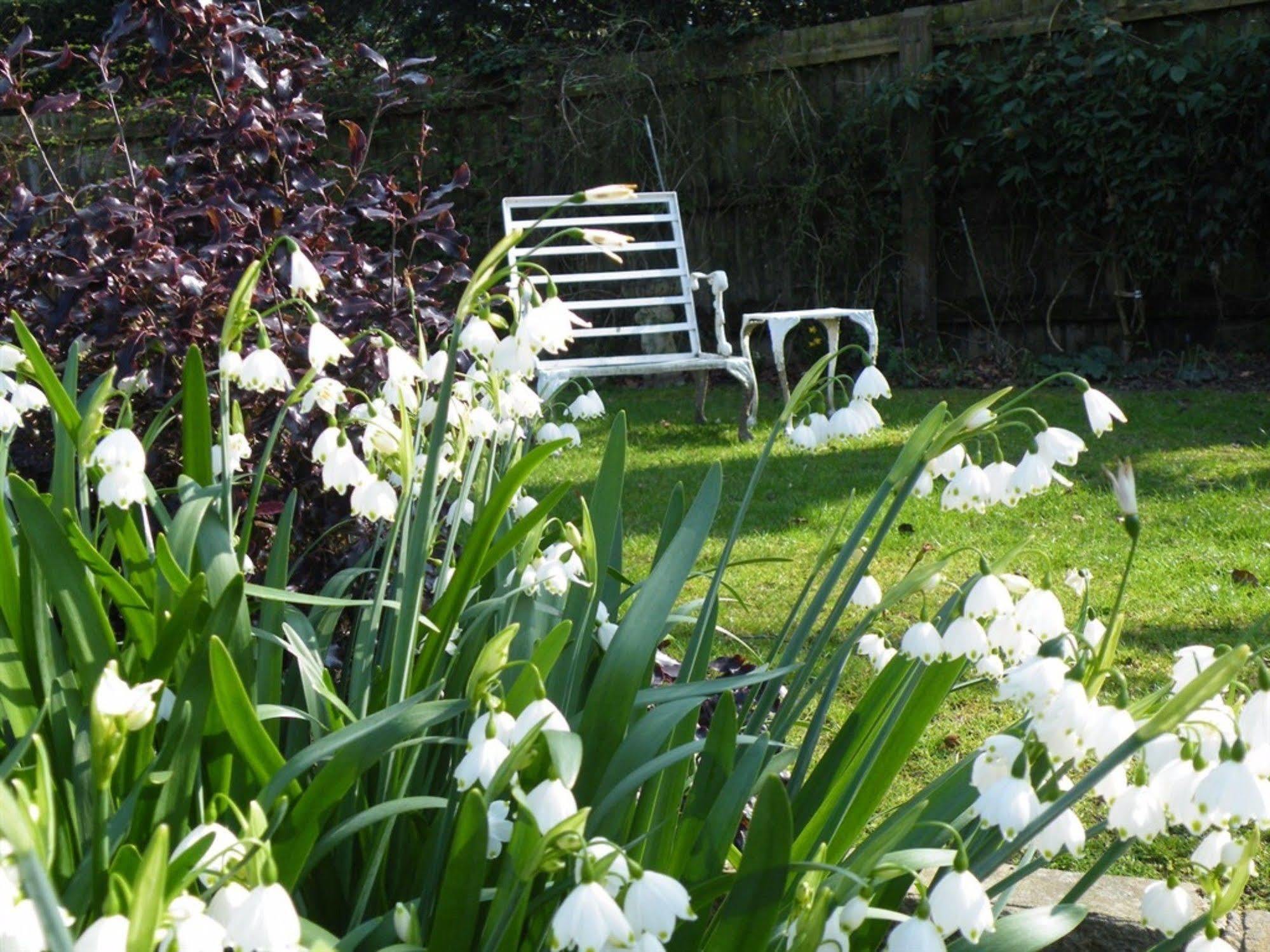 Broadlands Gate Bed and Breakfast Brockenhurst Exteriör bild